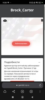 Screenshot_2025-08-28-15-20-05-865_com.yandex.browser.jpg
