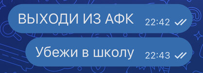 IMG_3984.jpeg