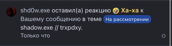 IMG_6364.jpeg
